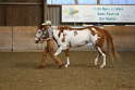 22-APHA HOTC_013